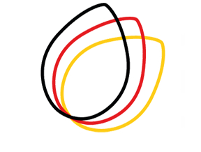 Deutsche Stiftung für Engagement und Ehrenamt